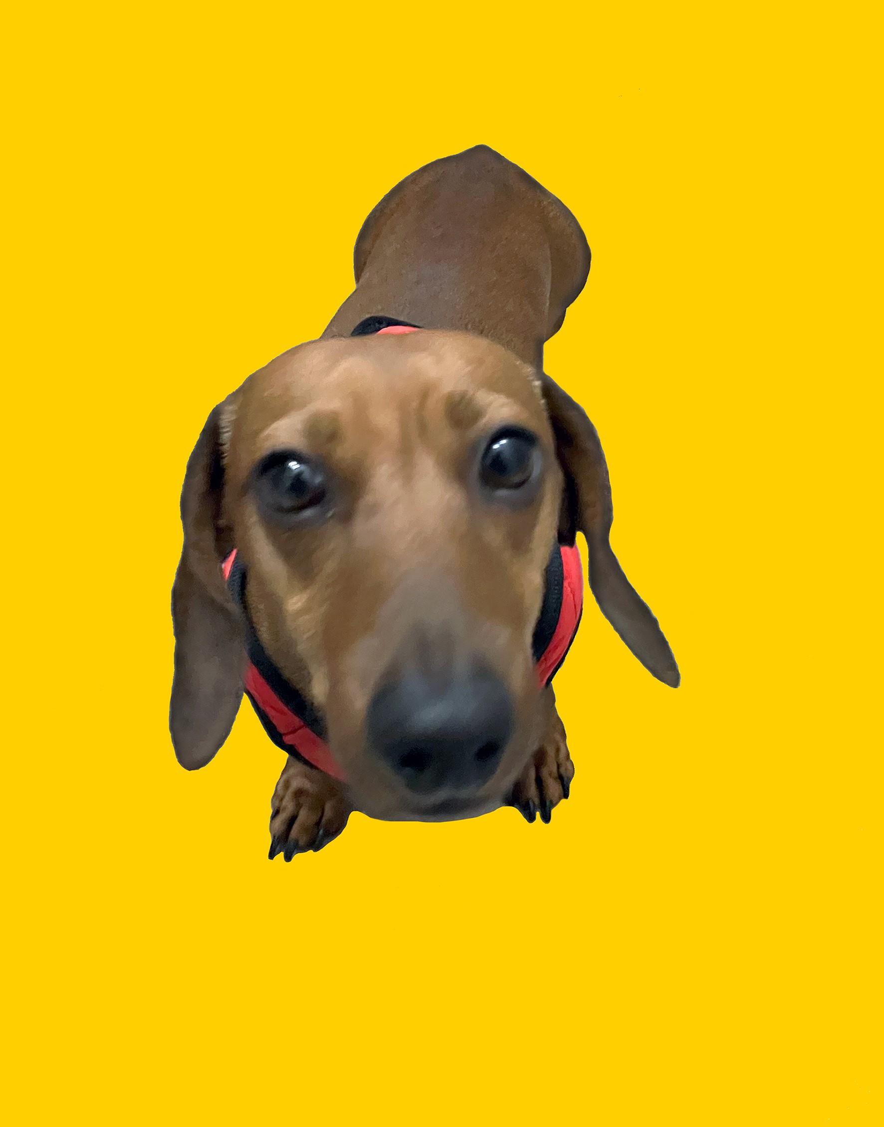 Raymond DU DOMAINE DE LA TRUFFE NOIRE