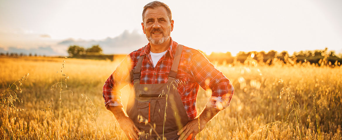 Création d'une entreprise agricole