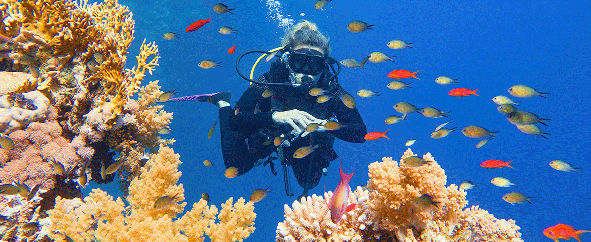 Plongée sous-marine