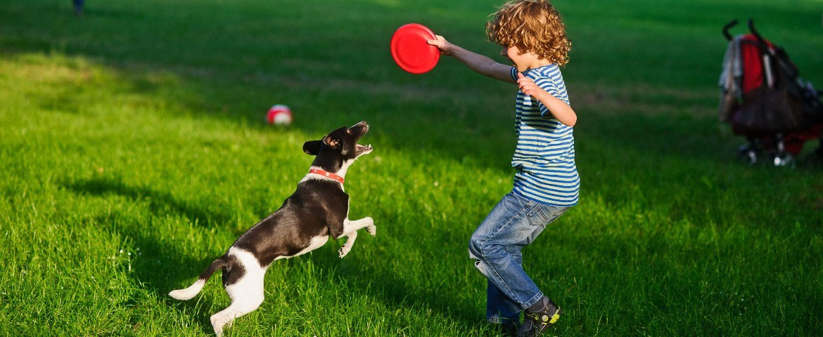Quel sport pratiquer avec son chien ?