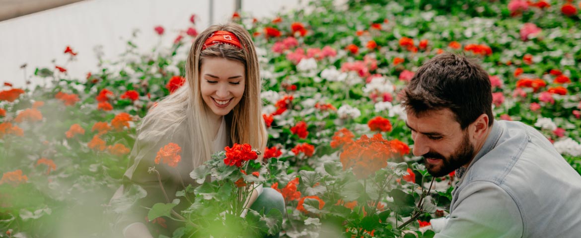 Choix d'un local professionnel pour un fleuriste