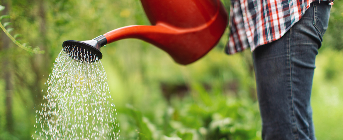 Un pluviomètre pour économiser l'eau d'arrosage… - Le JardinOscope coté  pratique, les bons gestes à faire au jardin