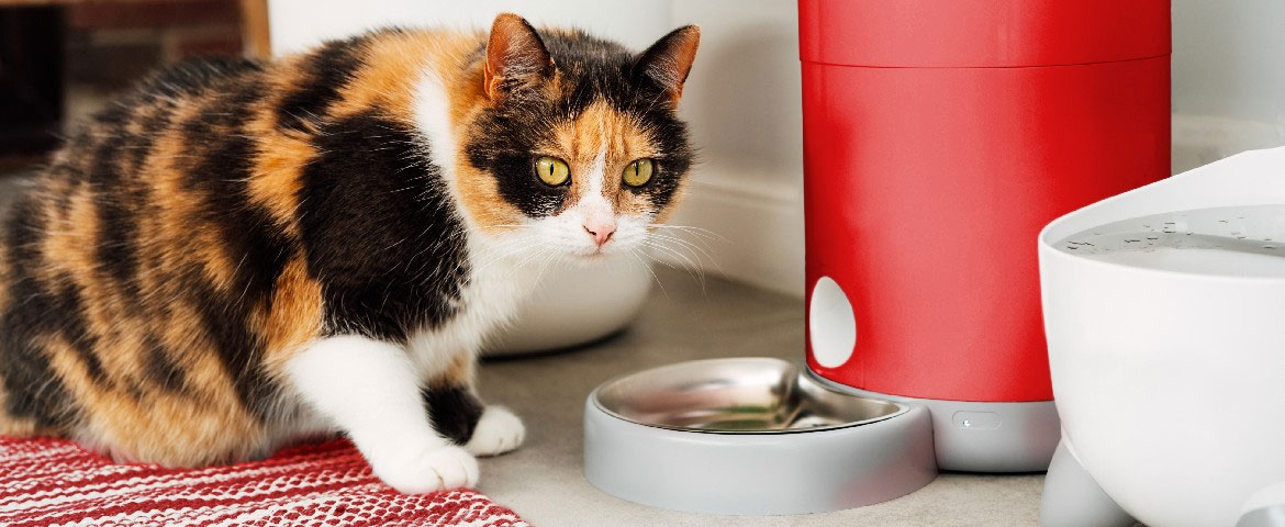 Bac à litière intelligent pour chat avec surveillance par caméra
