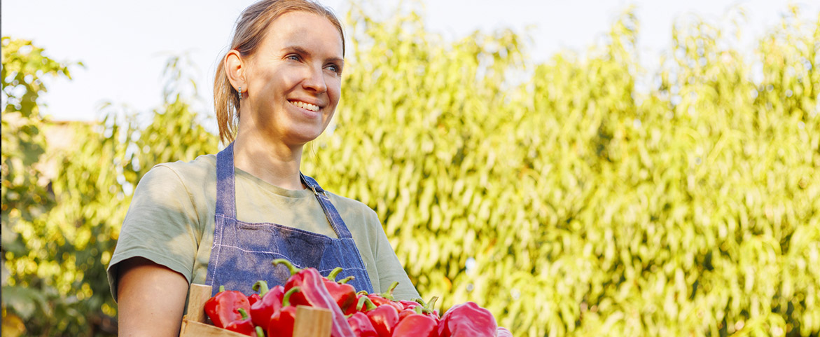 Une agricultrice récolte des poivrons