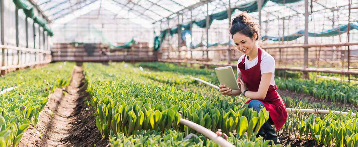 Construction sur un terrain agricole