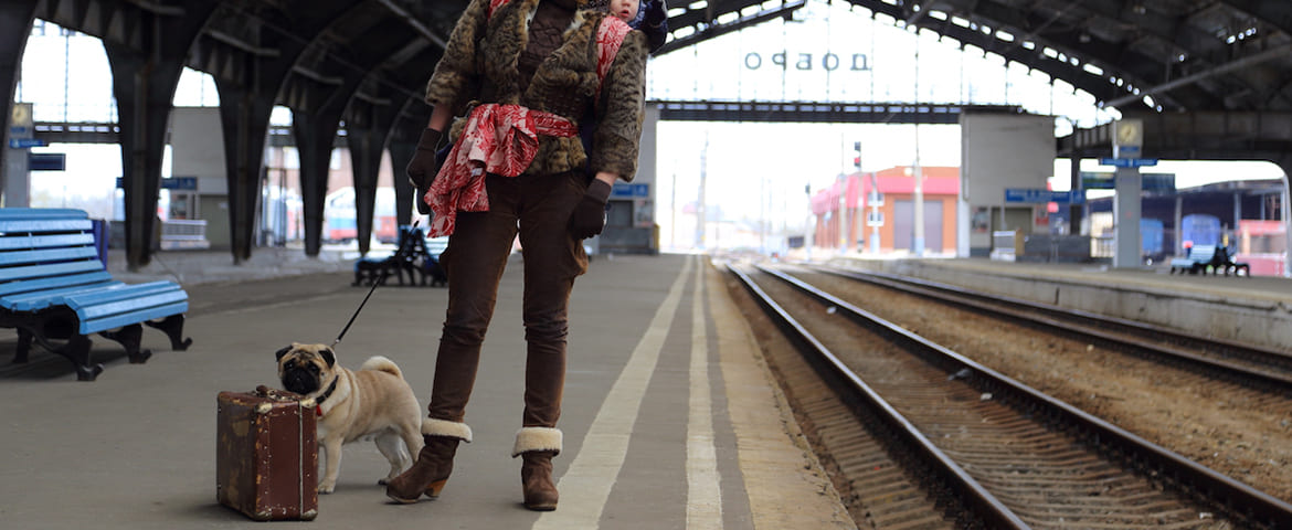 voyager avec son chien en train