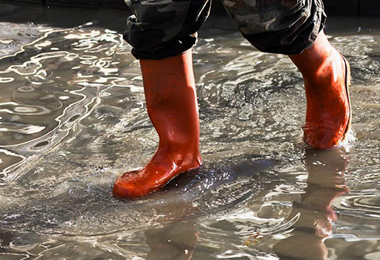 Actions de prévention assurance