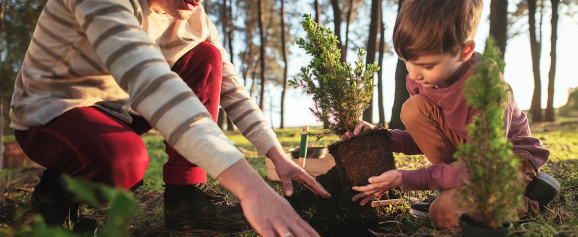 Investissement responsable et durable