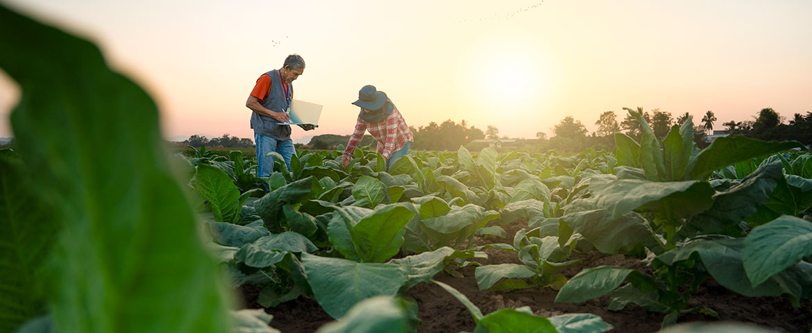 Achat d’une terre agricole
