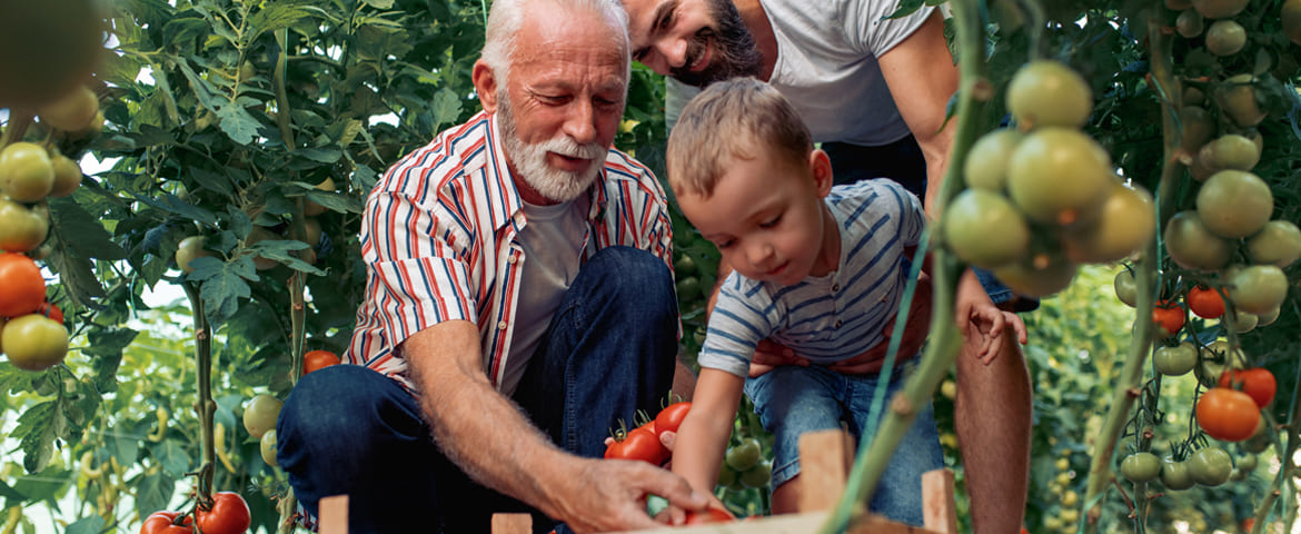 Transmission de son exploitation agricole