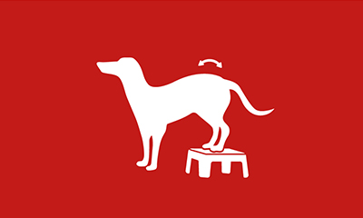 vignette image d'un chien les deux pattes avant sur un tabouret