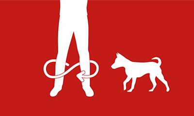 vignette image chien à côté des jambes de son chien