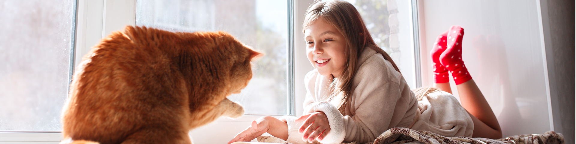 jeune fille face à un chat roux