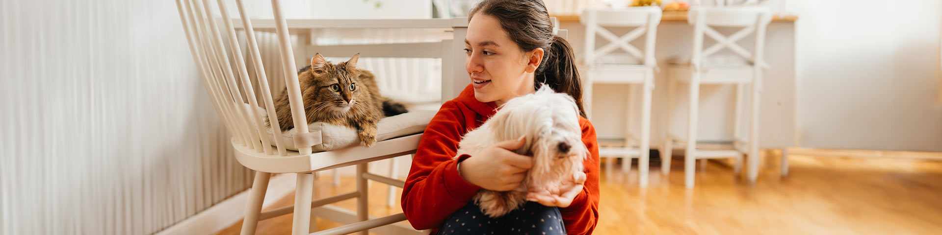 Une fille assise avec un chien dans les bras à côté d'un chat sur une chaise 