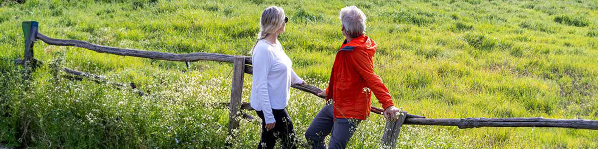 Un couple de seniors au milieu d'un champs
