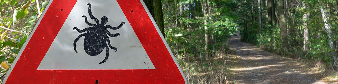 panneau attention tiques