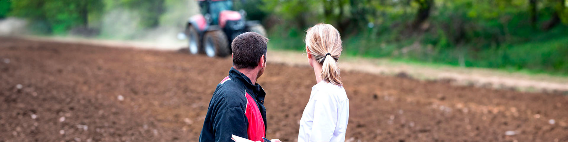 Deux personnes qui regardent un terrain agricole