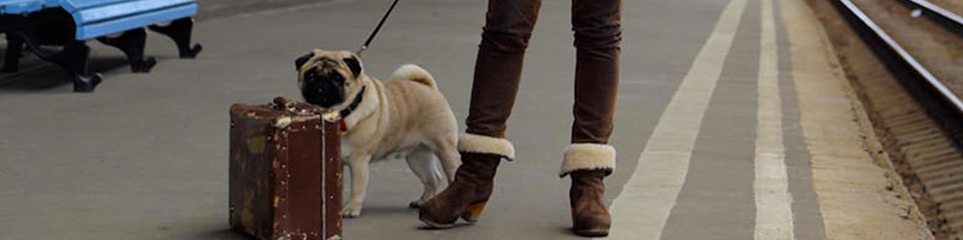 Chien sur un quai de gare avec sa maîtresse