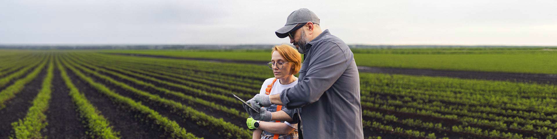 Deux personnes dans un champ
