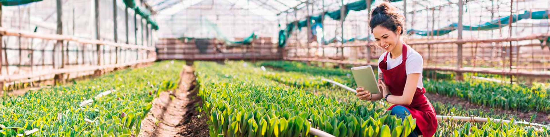 Jeune agricultrice dans une serre