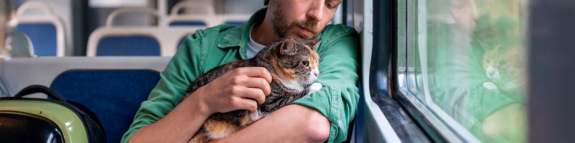 un chat et son maître dans les transports