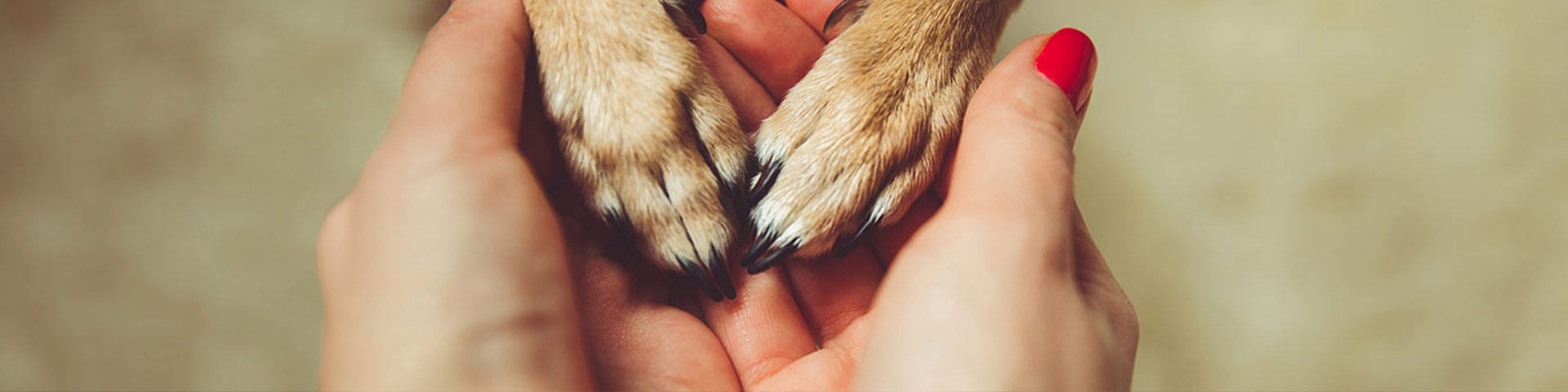 Une femme qui tient les pattes d'un chien