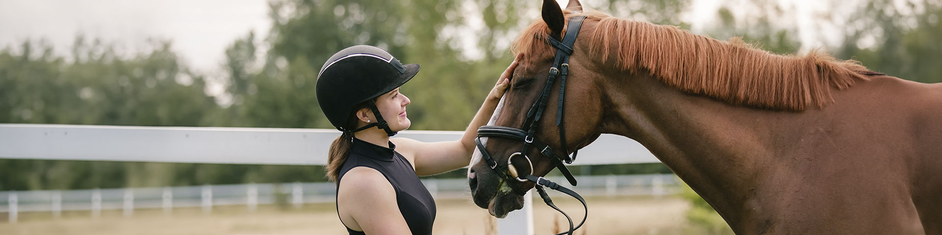 une cavalière et son cheval