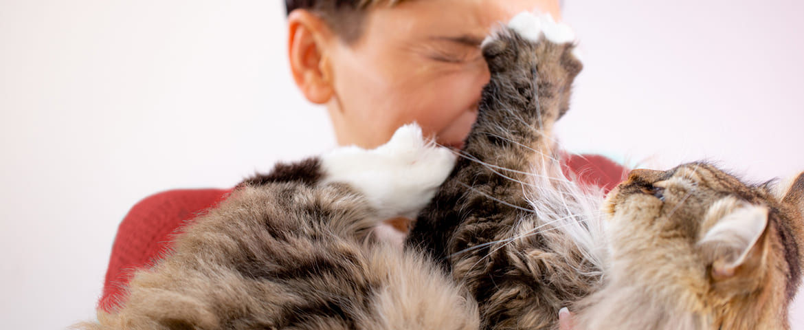 Chat mordille son propriétaire
