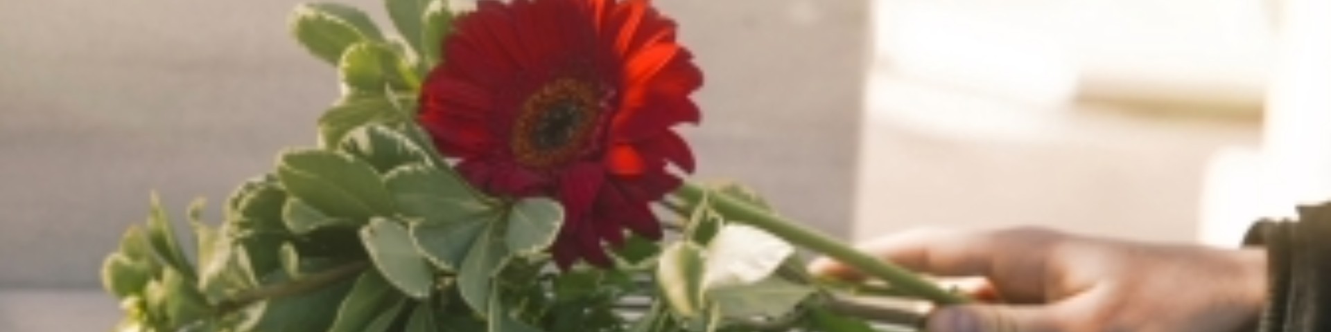 GENERALI OBSEQUES_1920x480.jpeg