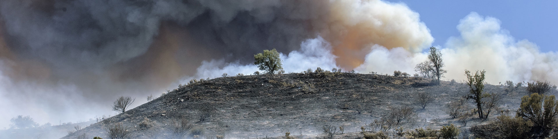 Fumées dans le ciel suite à un incendie de forêt
