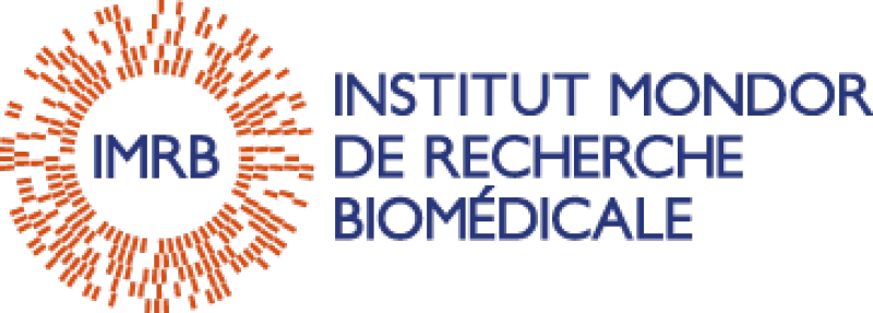 Logo IMRB