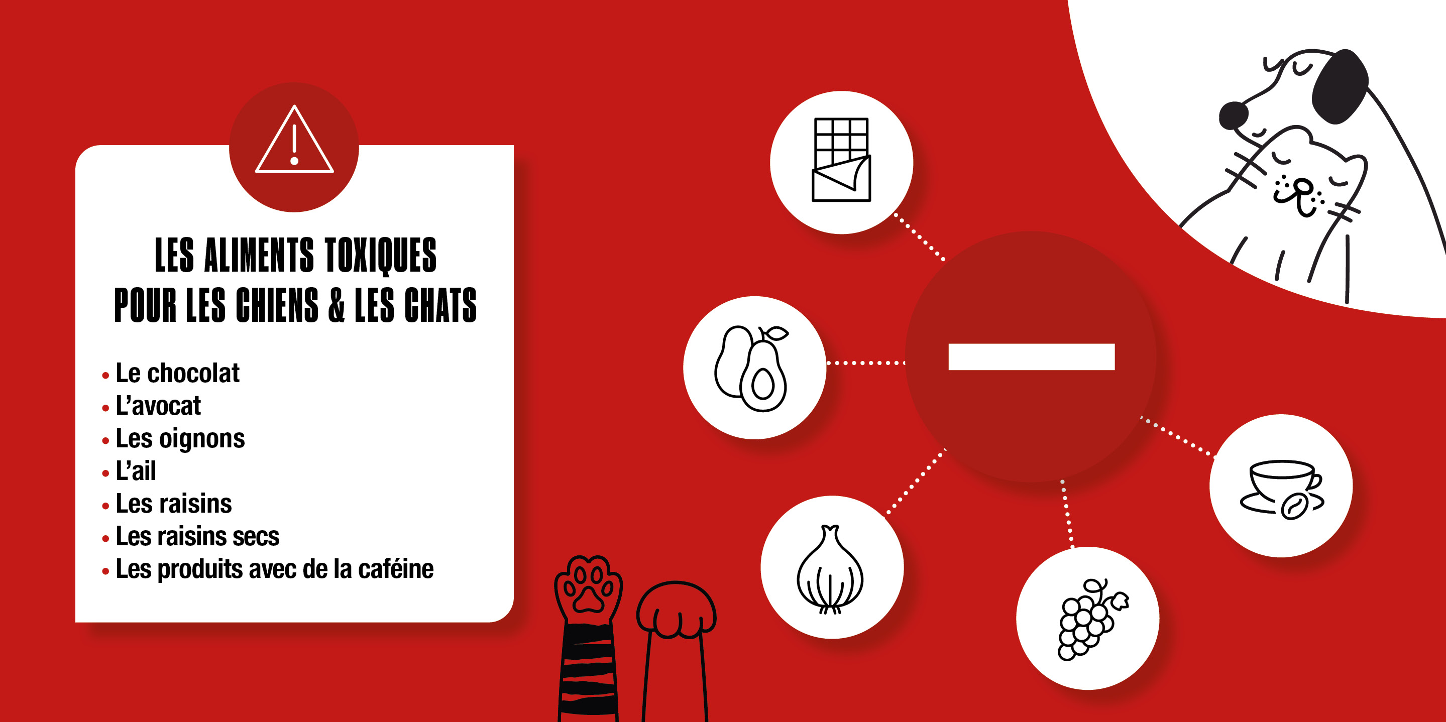 Aliments toxiques pour les chiens