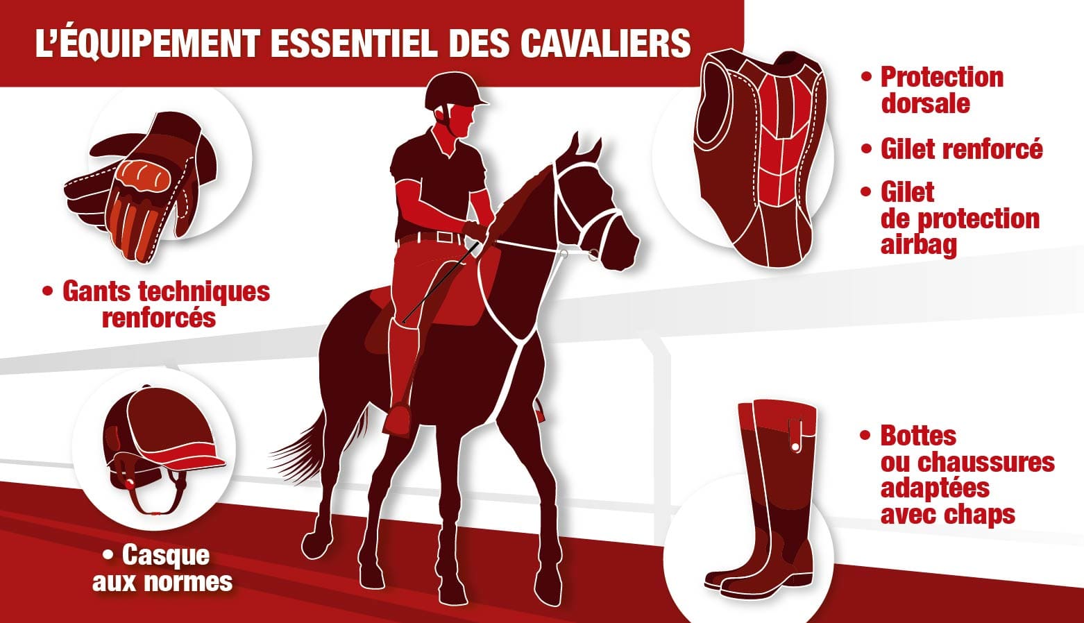 les équipements du cavalier