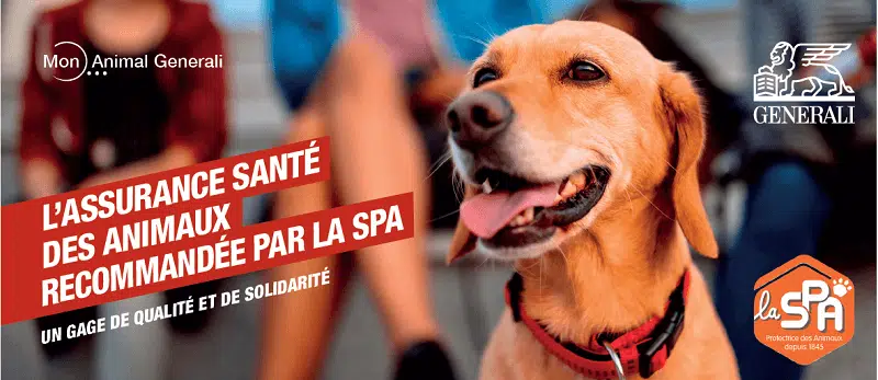 Assurance chient-chat recommandée par la SPA