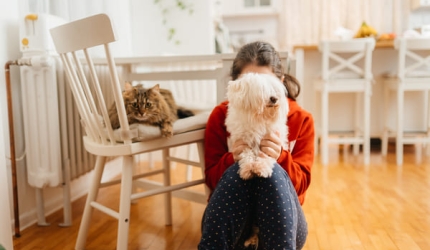 Assurance chien et chat - visuel secondaire - fille cuisine