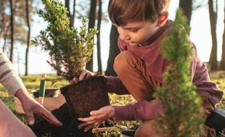 Garçon qui plante un arbuste Nos engagements développement durable