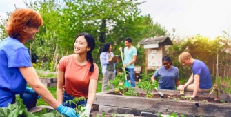 Une association dans un potager