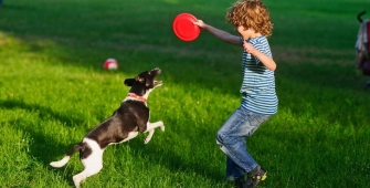 faire du sport avec son chien
