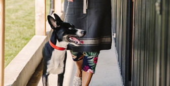 chien promené en laisse