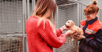Deux femmes avec un chiot dans un refuge