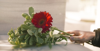 Une rose sur un cercueil 