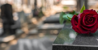 Une rose posée sur une tombe