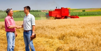 Deux personnes qui se serrent la main dans un champ