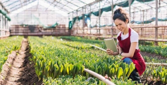 Une femme qui regarde sa plantation
