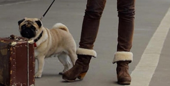 Chien sur un quai de gare avec sa maîtresse