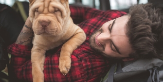 Chien de race avec son maître