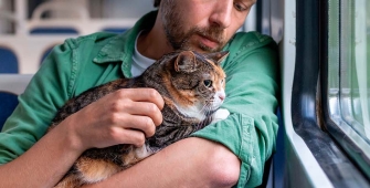 Un homme avec son chat dans le train