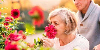 Article_préparer jardin pour printemps_1920x480.jpg