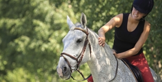 Une cavalière sur son cheval