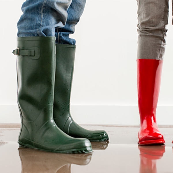 Article - assurance habitation - sinistre